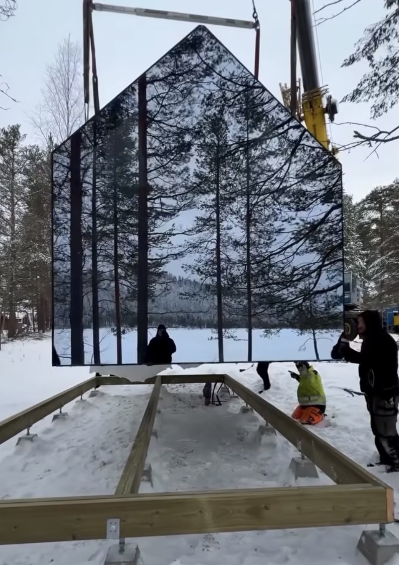 Sense installation crane winter forest
